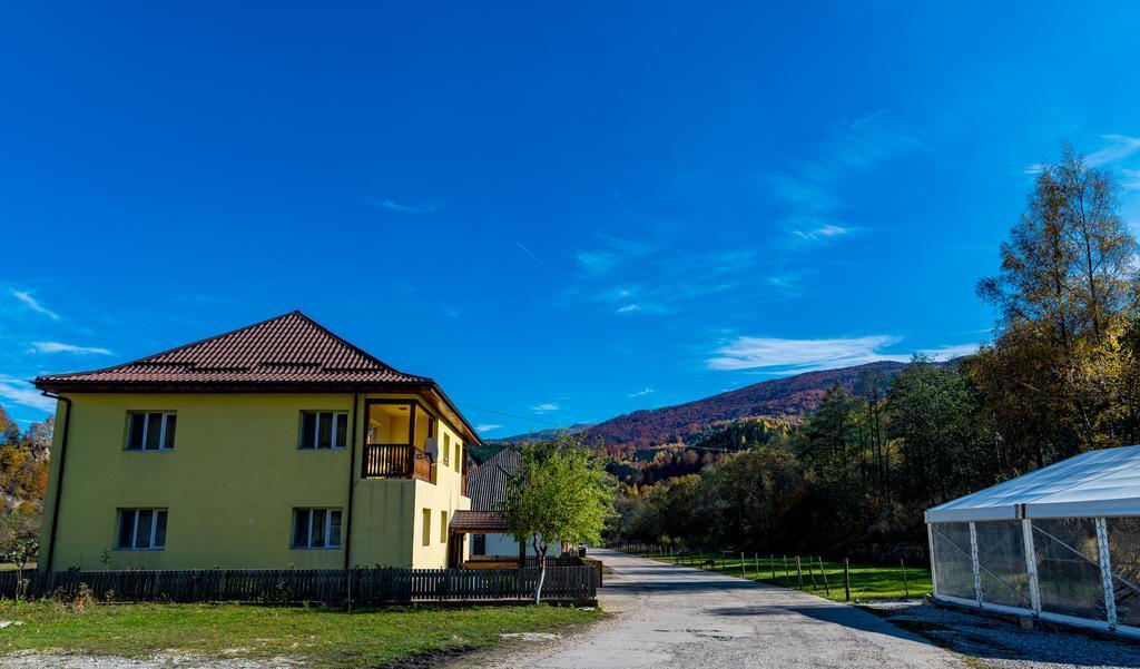 Noring Guest House Lupeni  Exterior photo